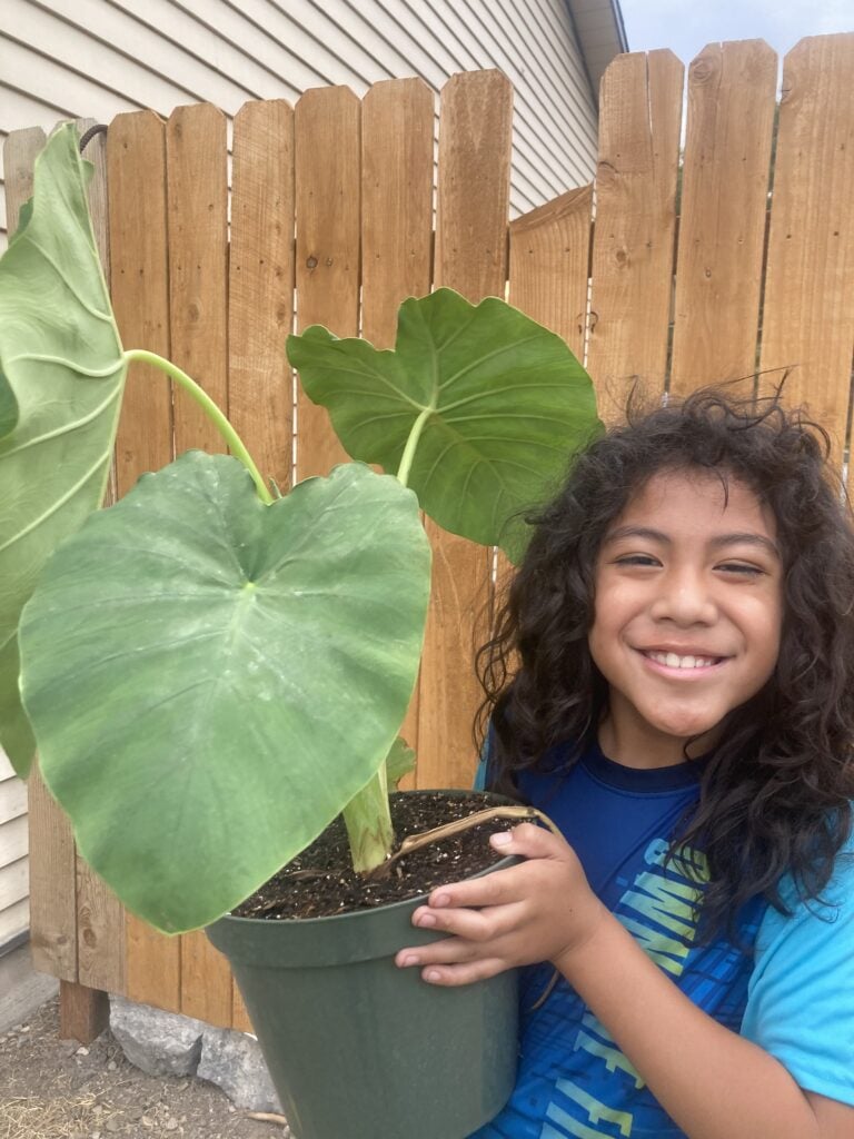 Child smiling and holding up a plant